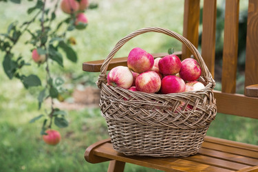 Similar image 21902304