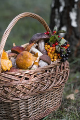 Similar image 21902305