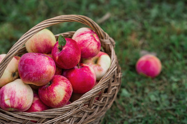 Similar image 21902306