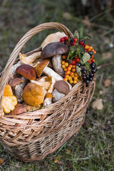 Similar image 21902307