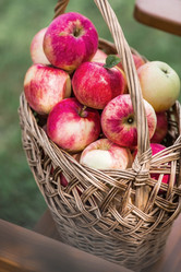 Similar image 21902308