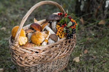 Similar image 21902309