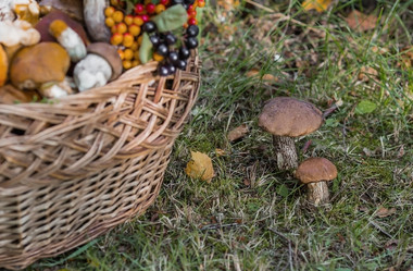 Similar image 21902310