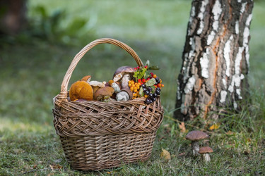 Similar image 21902311