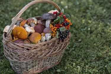 Similar image 21902312