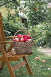 Similar image 21902313