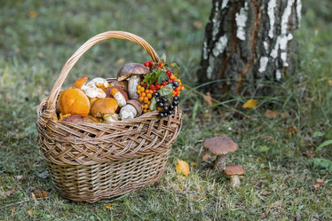 Similar image 21902314