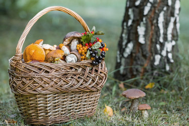 Similar image 21902316