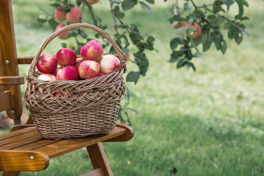 Similar image 21902317