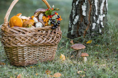 Similar image 21902318