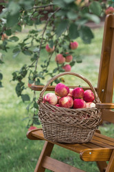 Similar image 21902319