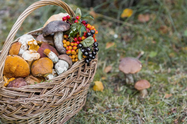 Similar image 21902320