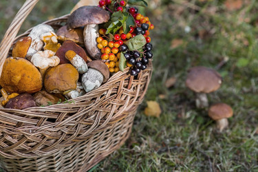 Similar image 21902322