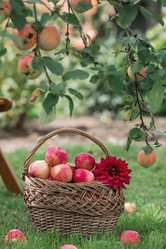 Similar image 21902323