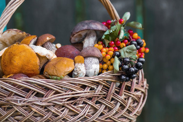 Similar image 21902324