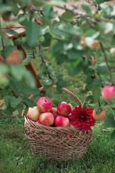 Similar image 21902325