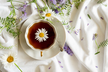 Similar image 21895737