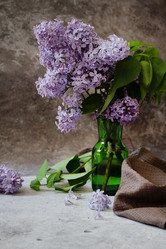 Similar image 21895750