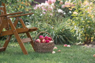 Similar image 21902326