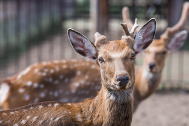 Similar image 21902327