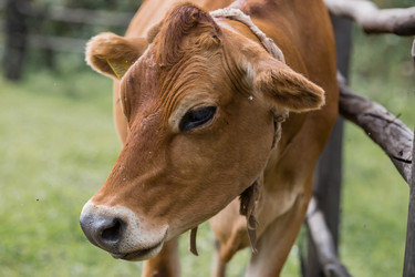 Similar image 21902328