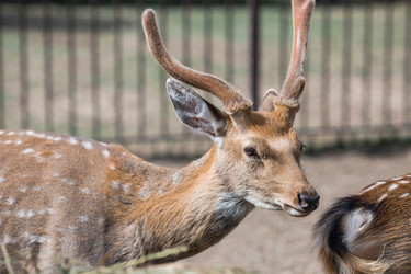 Similar image 21902329