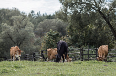 Similar image 21902330