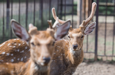 Similar image 21902331