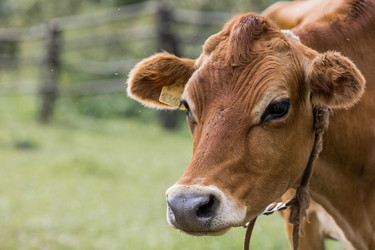 Similar image 21902332