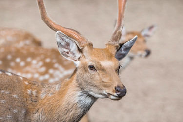 Similar image 21902333