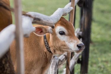 Similar image 21902334