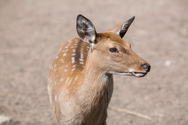 Similar image 21902335