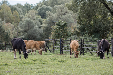 Similar image 21902336