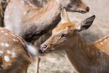 Similar image 21902337