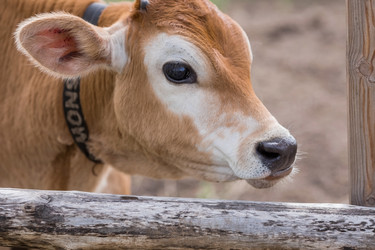 Similar image 21902340