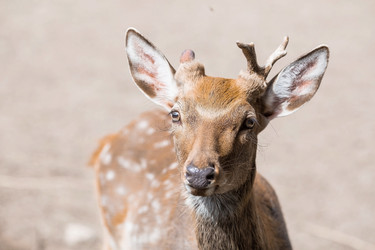 Similar image 21902341