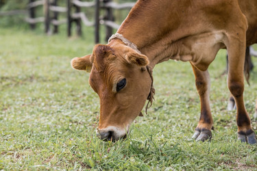 Similar image 21902342