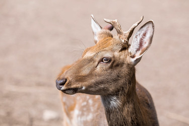 Similar image 21902343