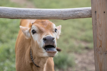 Similar image 21902344