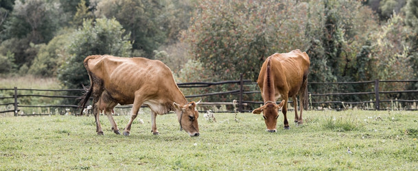 Similar image 21902345