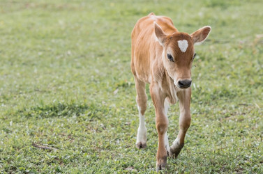 Similar image 21902346