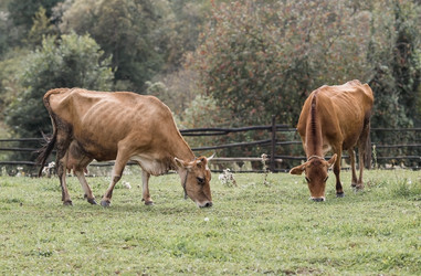 Similar image 21902347