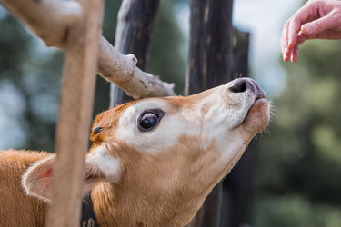 Similar image 21902348