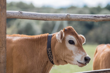 Similar image 21902350