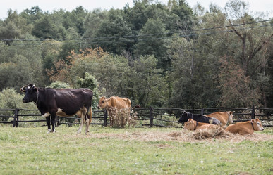 Similar image 21902351