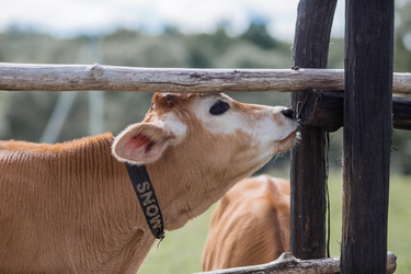 Similar image 21902352