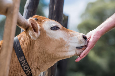 Similar image 21902354