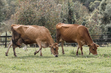 Similar image 21902355