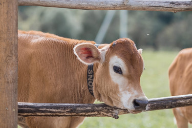 Similar image 21902356