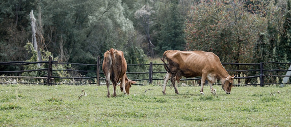 Similar image 21902357